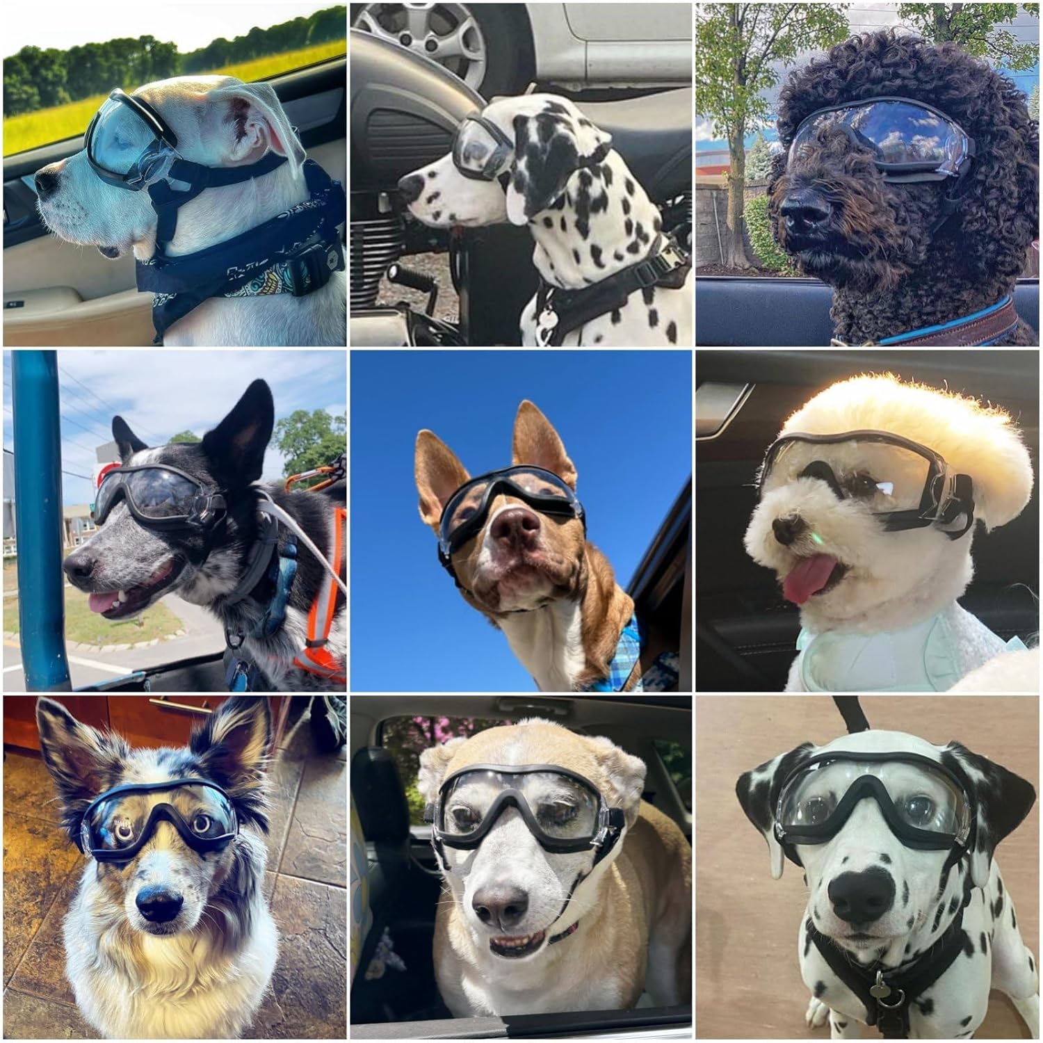 Gafas antiparras para perros medianos y grandes con proteccion UV y sistema antivaho.