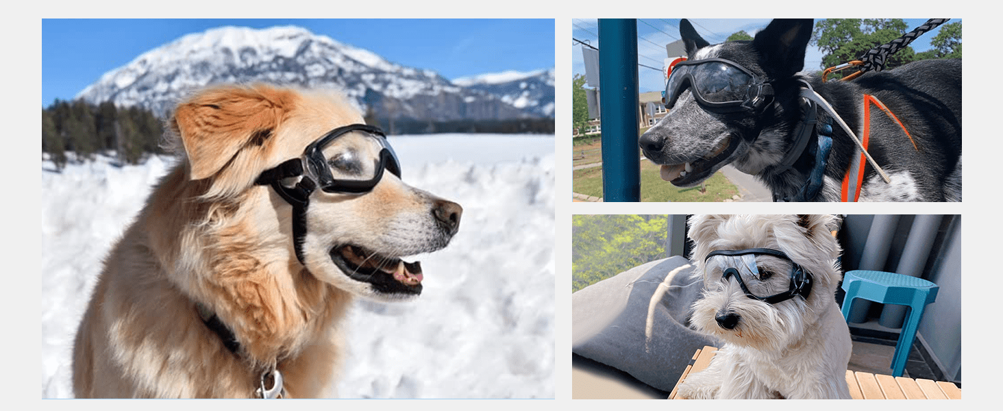 Gafas antiparras para perros medianos y grandes con proteccion UV y sistema antivaho.