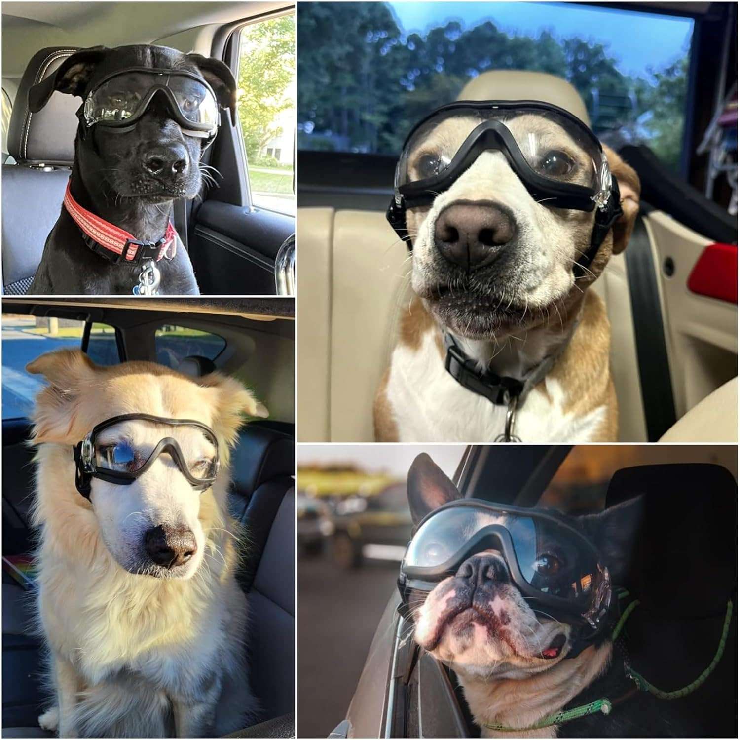 Gafas antiparras para perros medianos y grandes con proteccion UV y sistema antivaho.