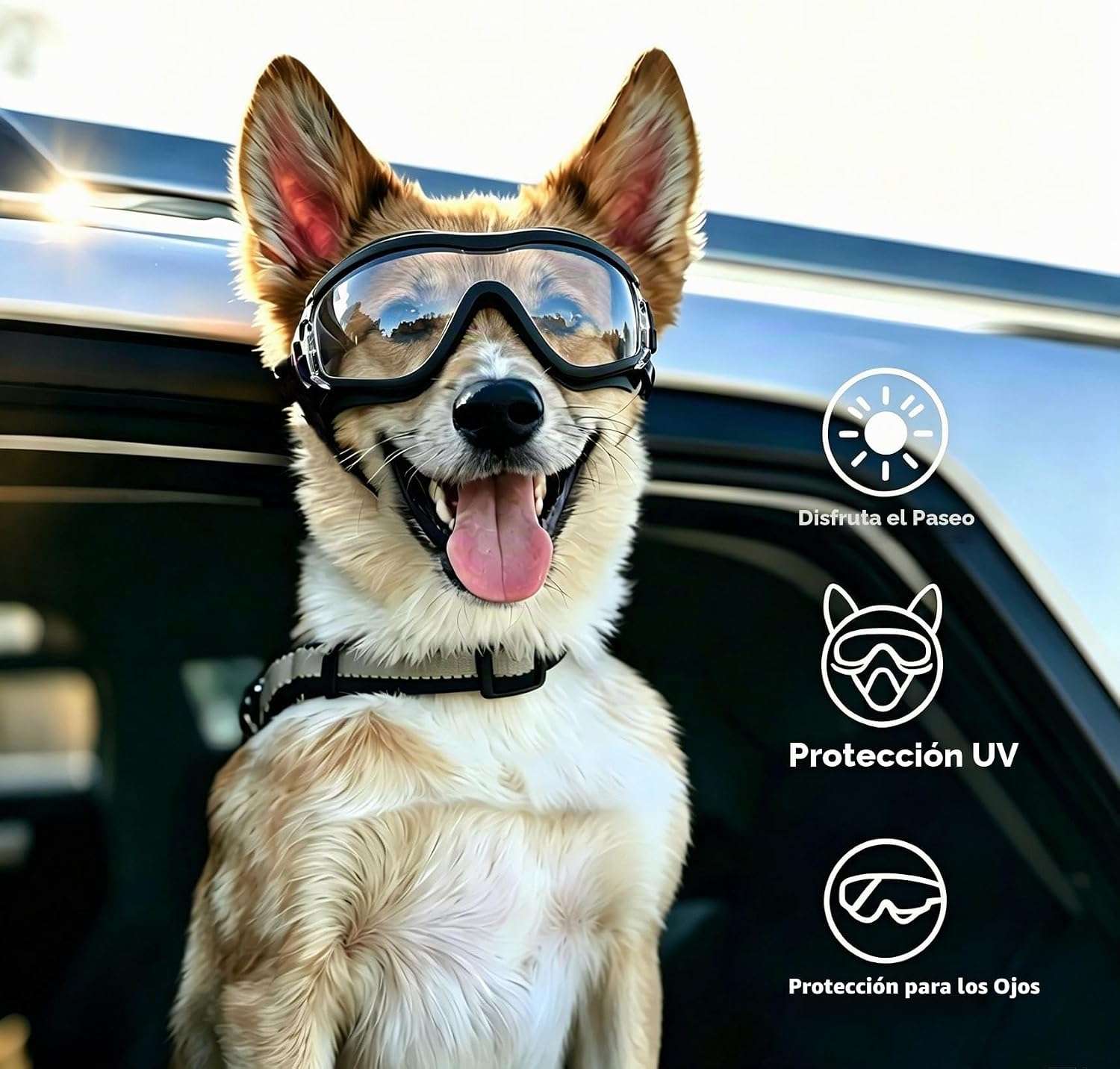 Gafas antiparras para perros medianos y grandes con proteccion UV y sistema antivaho.