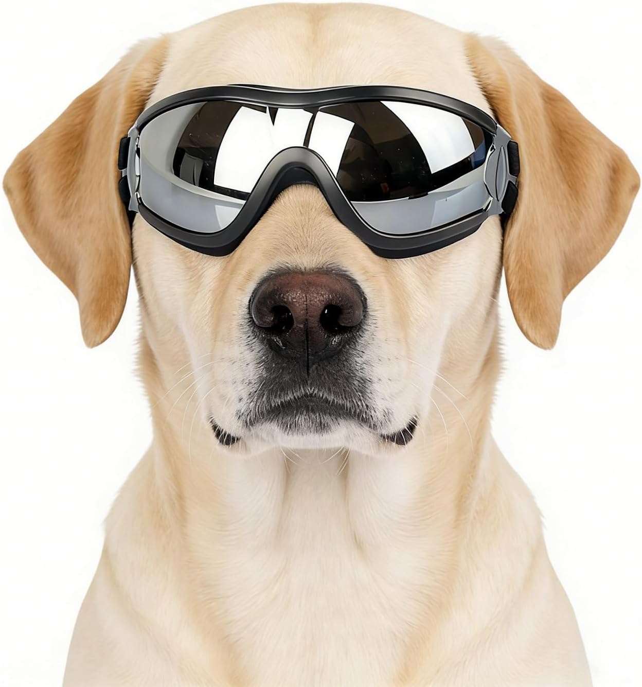 Gafas antiparras para perros medianos y grandes con proteccion UV y sistema antivaho.