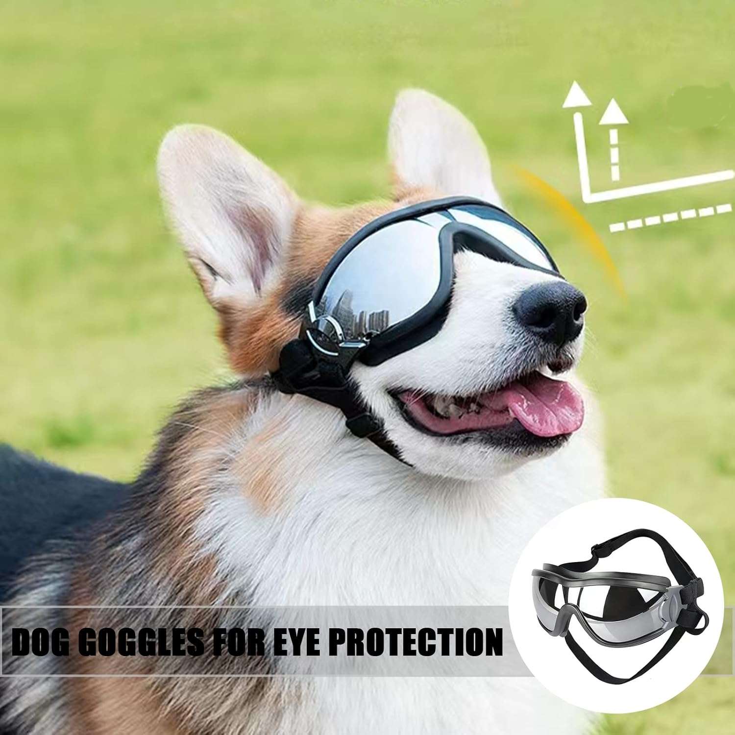 Gafas protectoras para perros con lentes antiarañazos y resistencia al agua para moto.