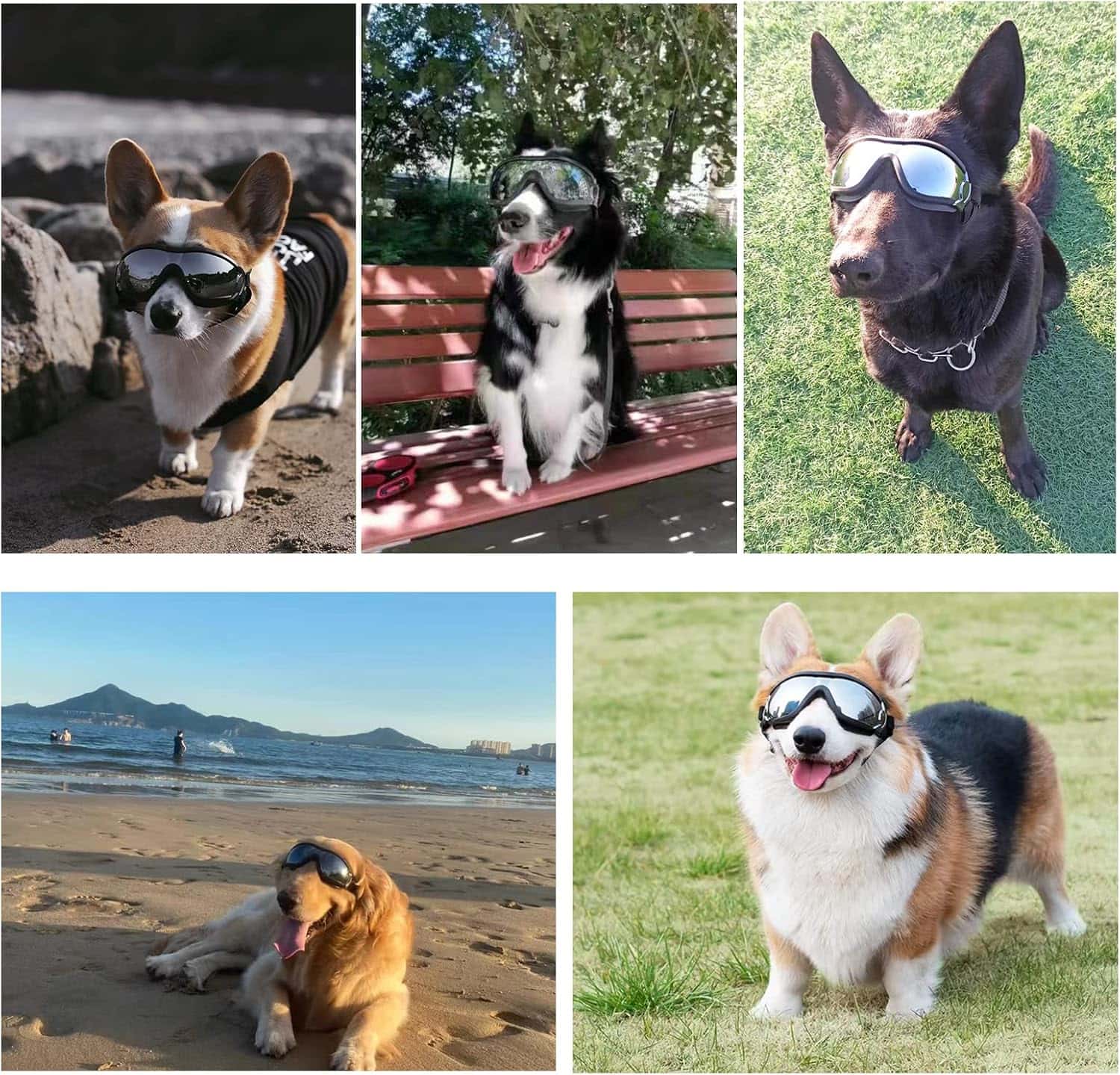 Gafas protectoras para perros con lentes antiarañazos y resistencia al agua para moto.