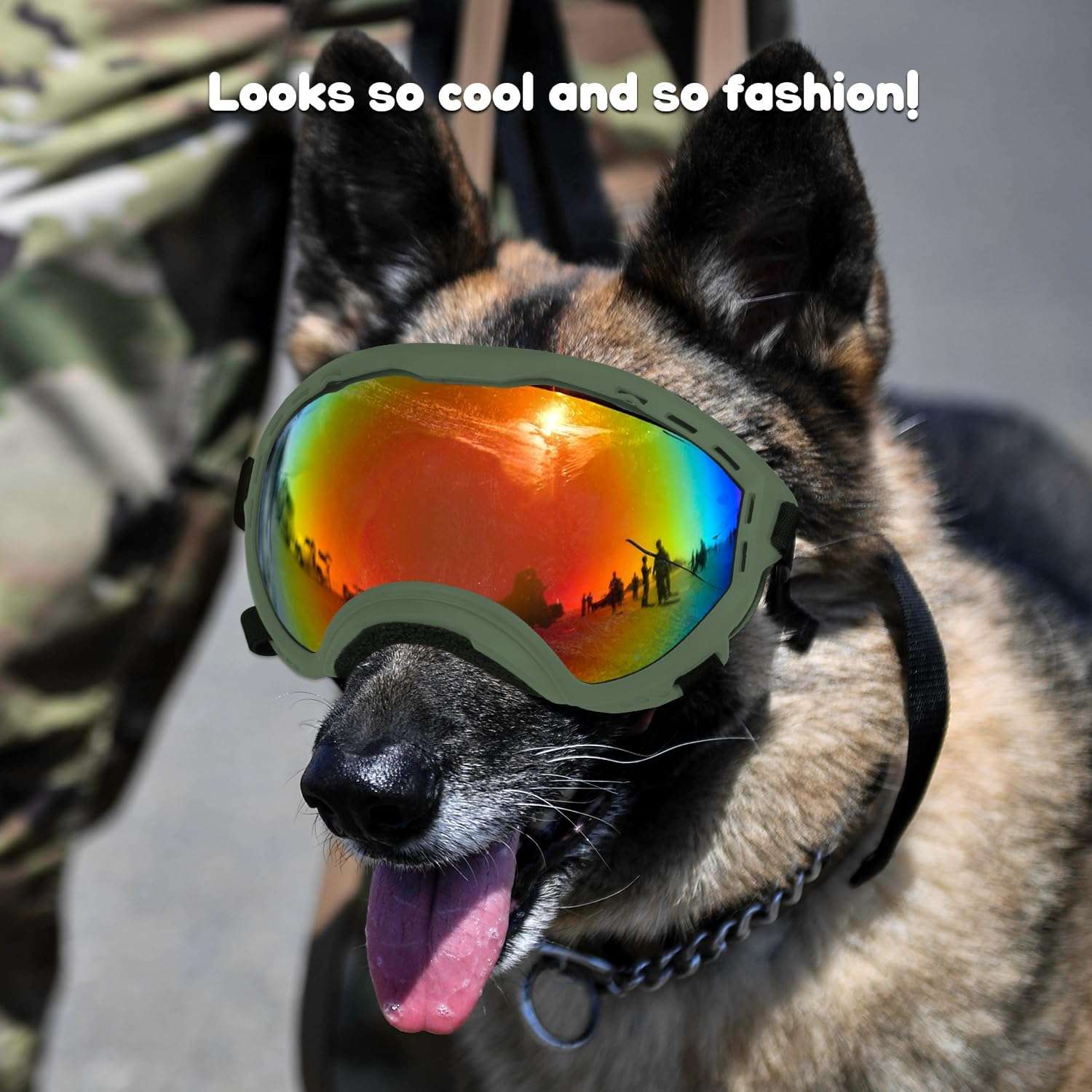 Gafas de sol para perros grandes y medianos con filtro UV400 ajustables para moto y playa.
