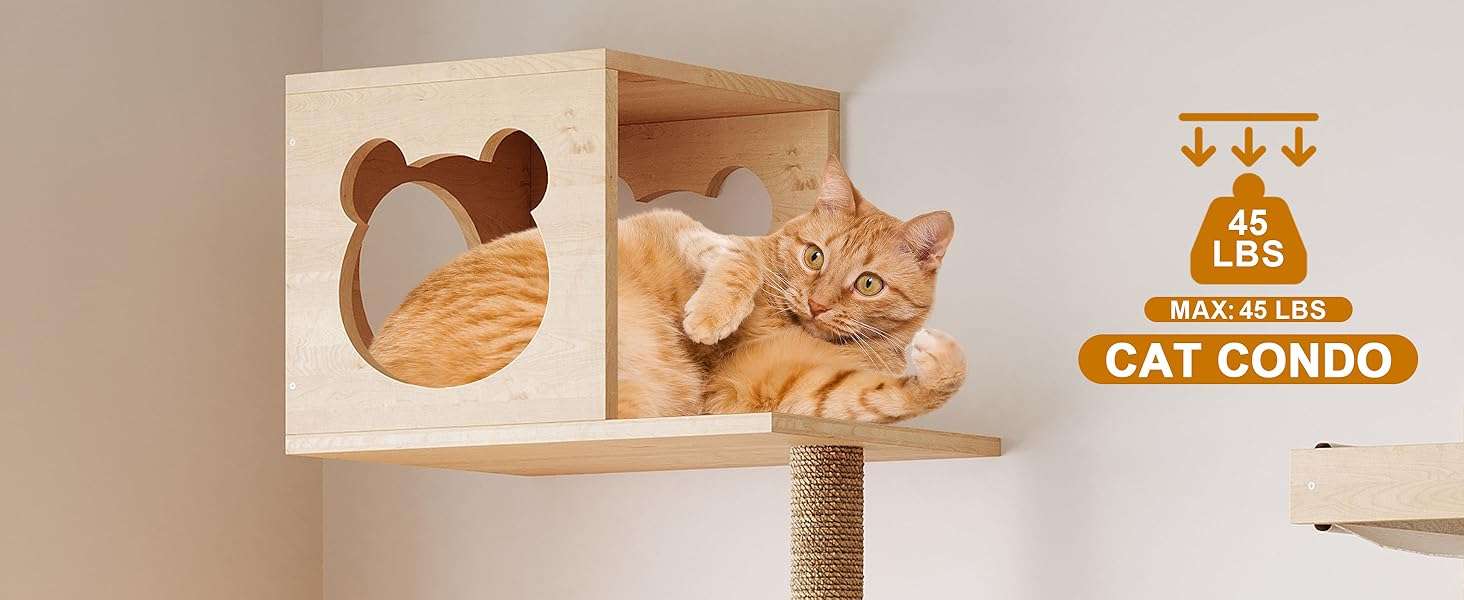 Set de gimnasio de pared para gatos de 13 piezas de madera pino pintable. Diseño modular con escalera rascador y estantes personalizables.