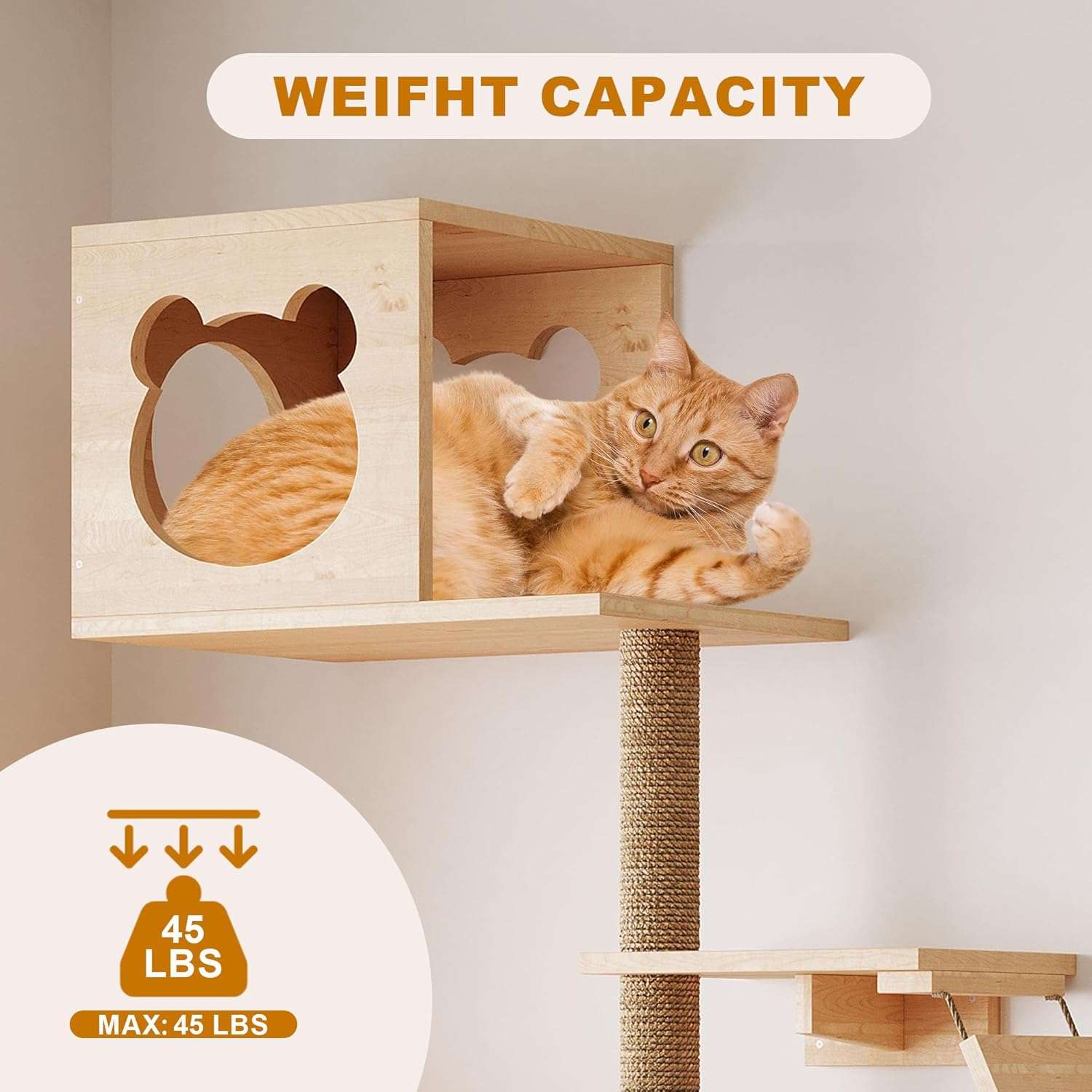 Set de gimnasio de pared para gatos de 13 piezas de madera pino pintable. Diseño modular con escalera rascador y estantes personalizables.