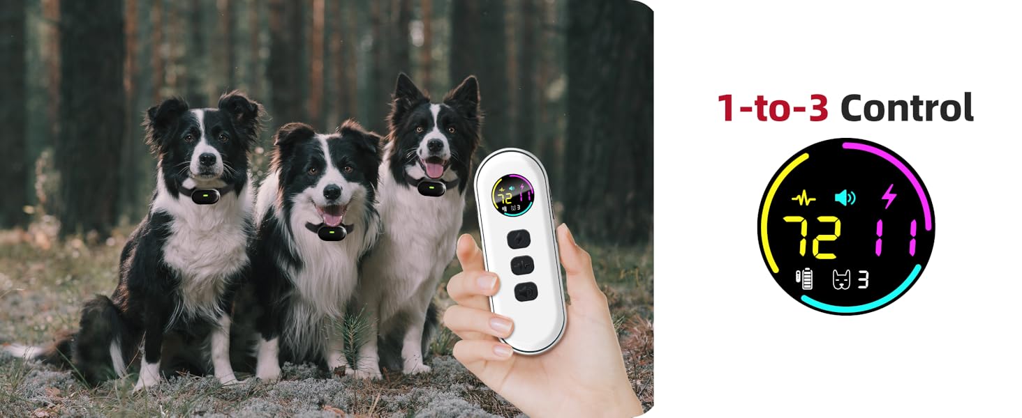 Kit de 2 collares de adiestramiento ultraligeros para perros pequeños con vibracion impermeable IPX7.