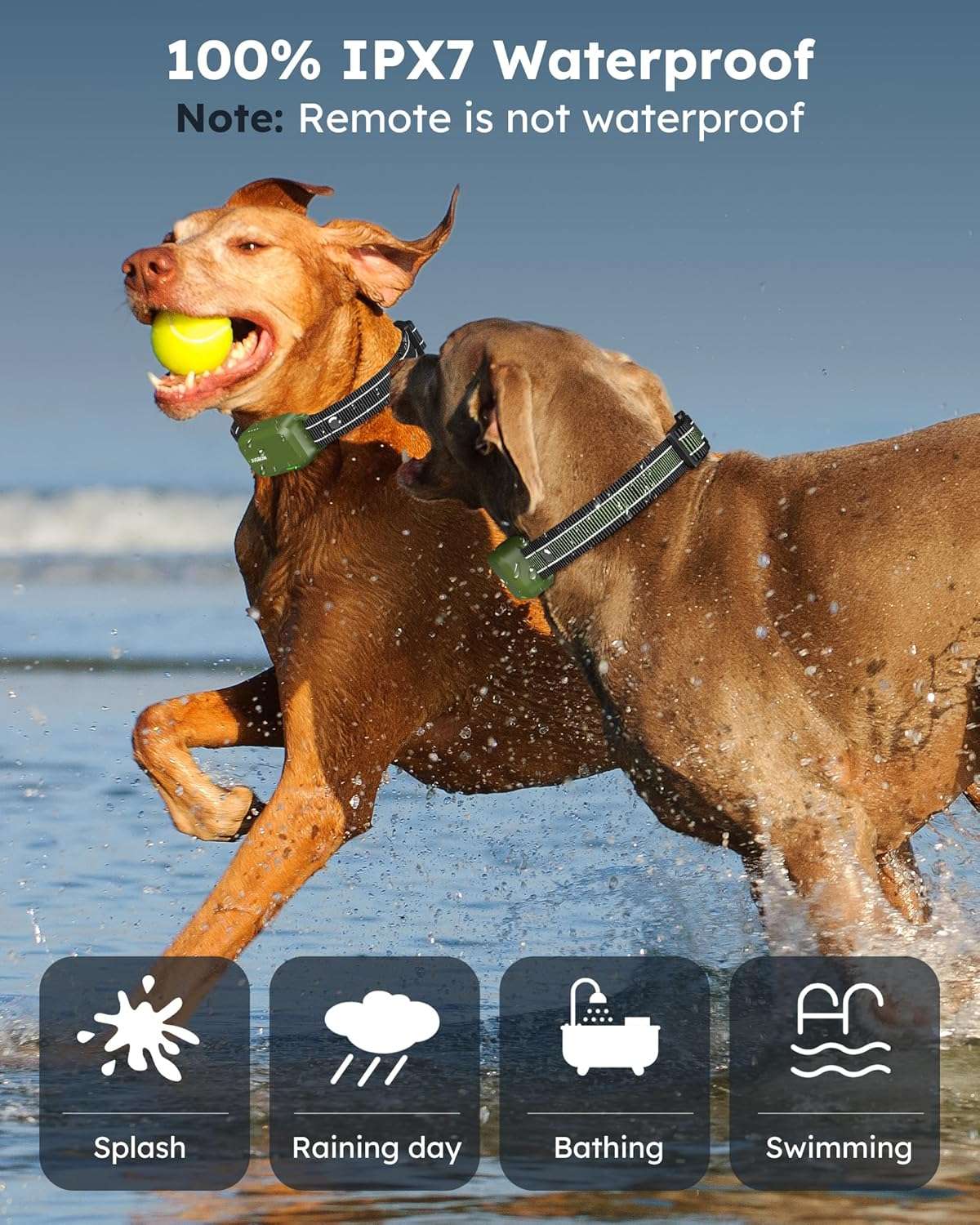 Kit de 2 collares de adiestramiento para perros con control remoto alcance 1300m impermeable IPX7.