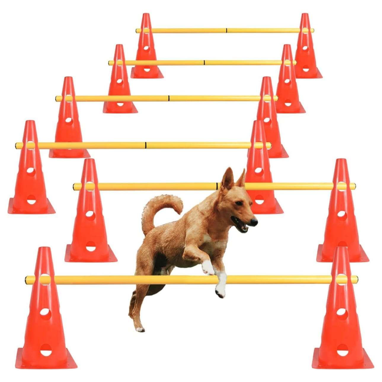 Kit de agility con 6 vallas de salto y conos ajustables para entrenamiento de perros. Obstaculos de colores visibles y material flexible.