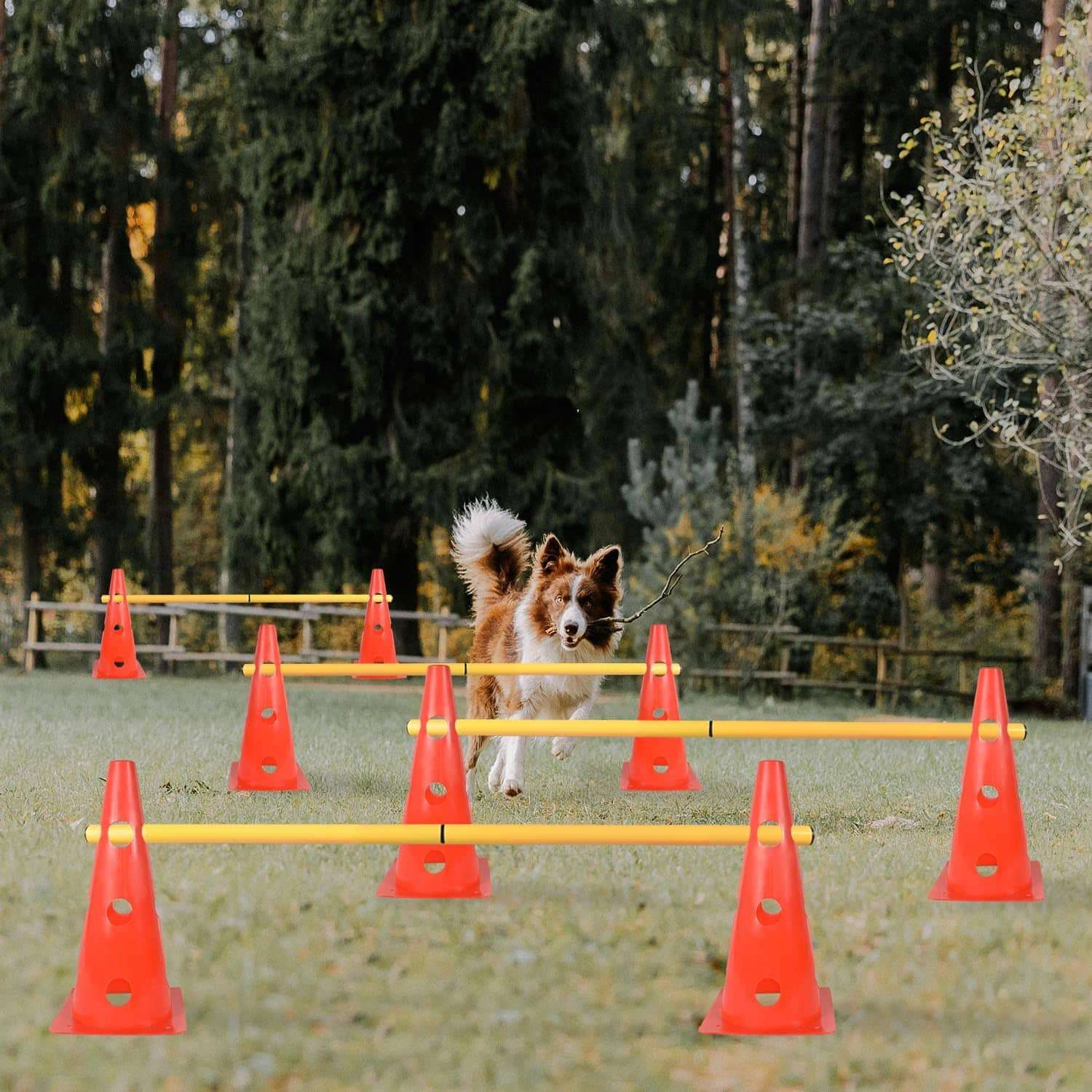 Kit de agility con 6 vallas de salto y conos ajustables para entrenamiento de perros. Obstaculos de colores visibles y material flexible.