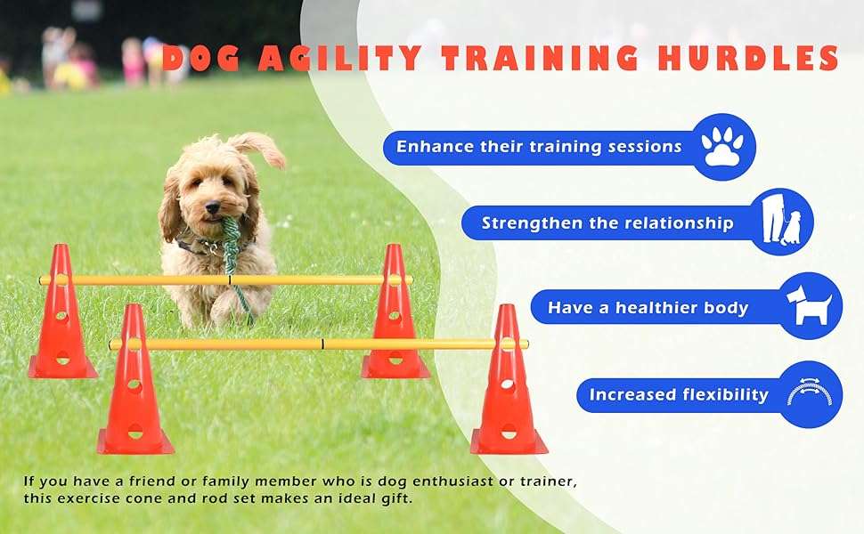 Kit de agility con 6 vallas de salto y conos ajustables para entrenamiento de perros. Obstaculos de colores visibles y material flexible.
