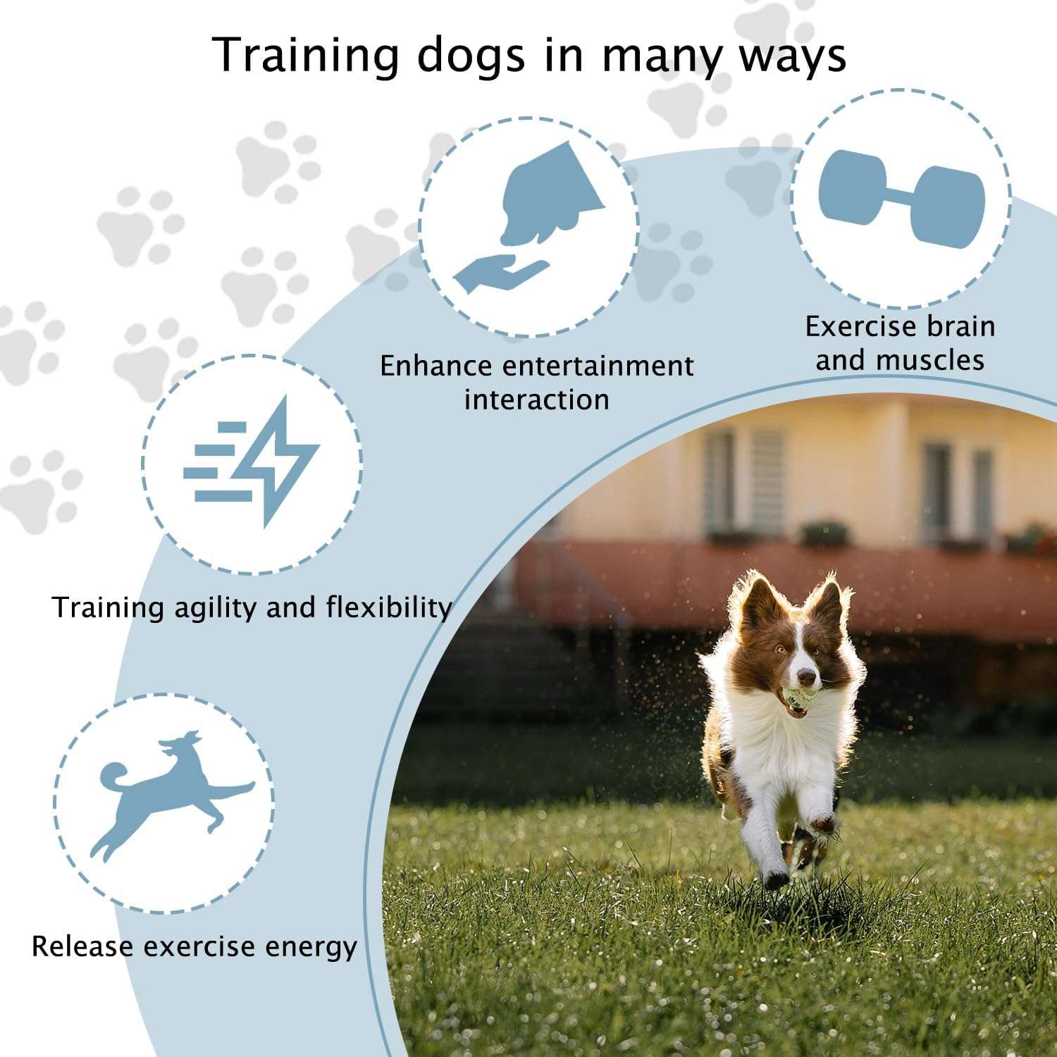 Kit de agility con 6 vallas de salto y conos ajustables para entrenamiento de perros. Obstaculos de colores visibles y material flexible.