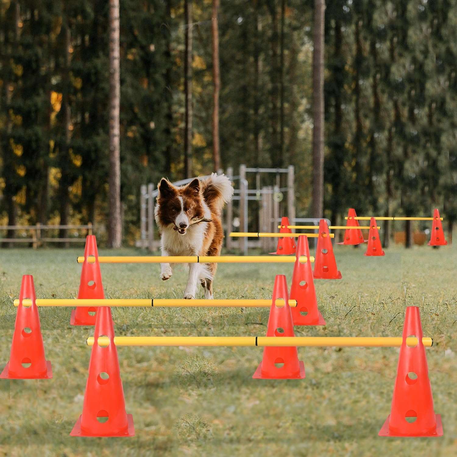 Kit de agility con 6 vallas de salto y conos ajustables para entrenamiento de perros. Obstaculos de colores visibles y material flexible.