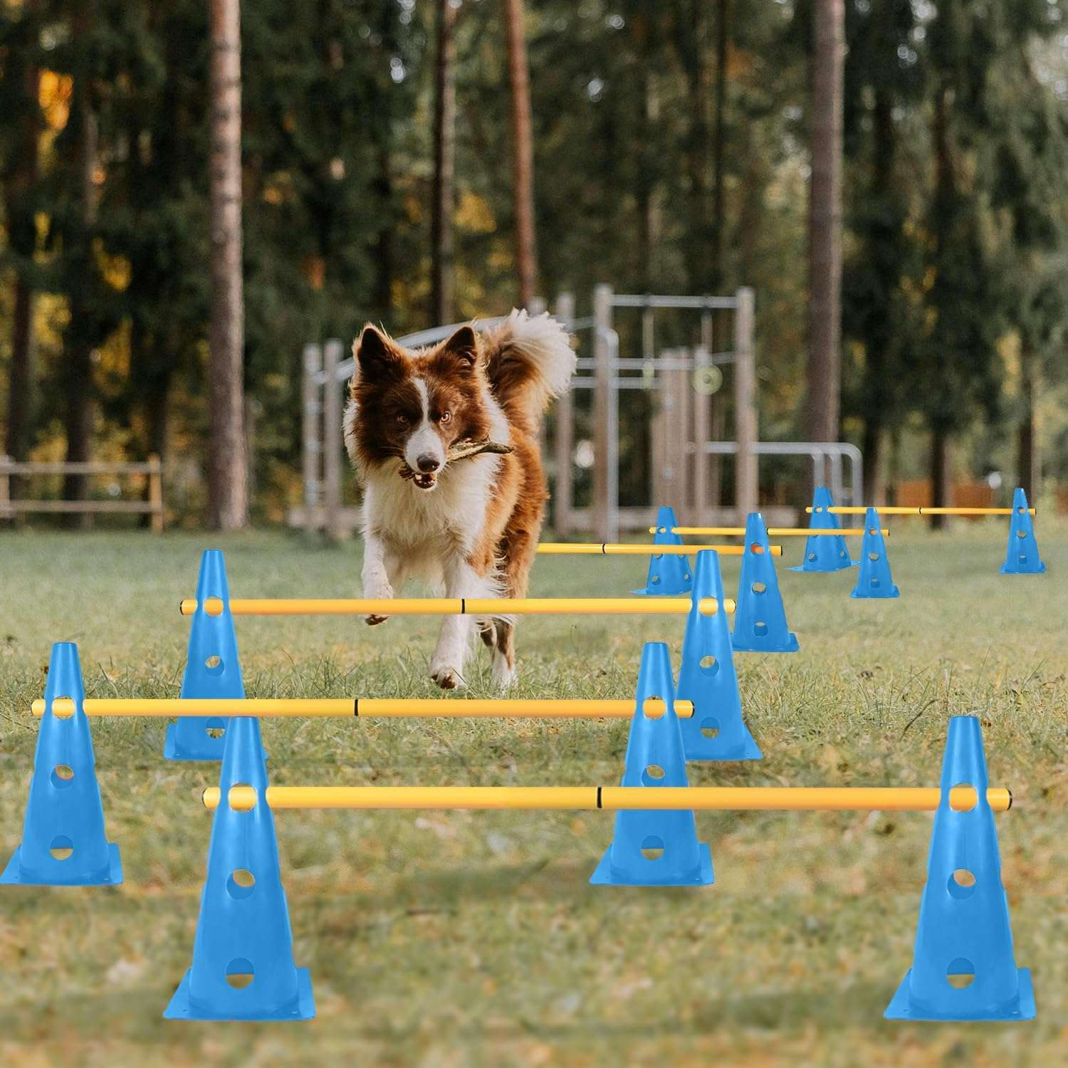 Kit de agility con 6 vallas de salto y conos ajustables para entrenamiento de perros. Obstaculos de colores visibles y material flexible.