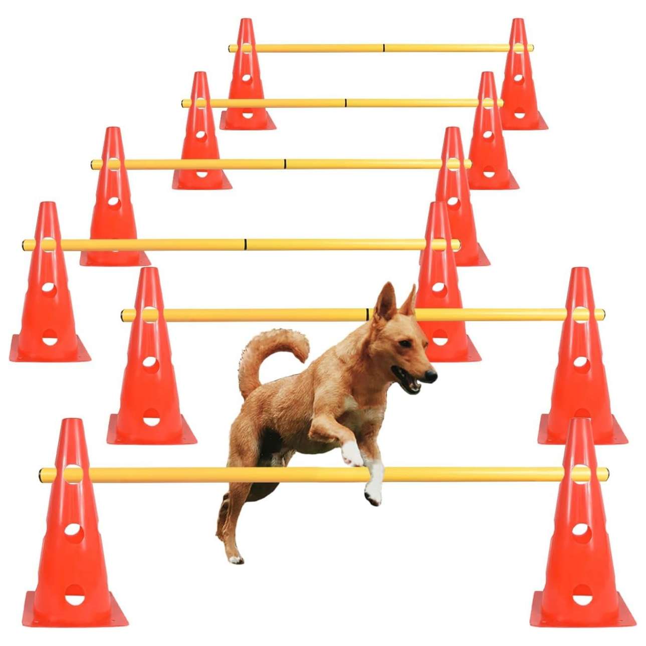 Kit de agility con 6 vallas de salto y conos ajustables para entrenamiento de perros. Obstaculos de colores visibles y material flexible.