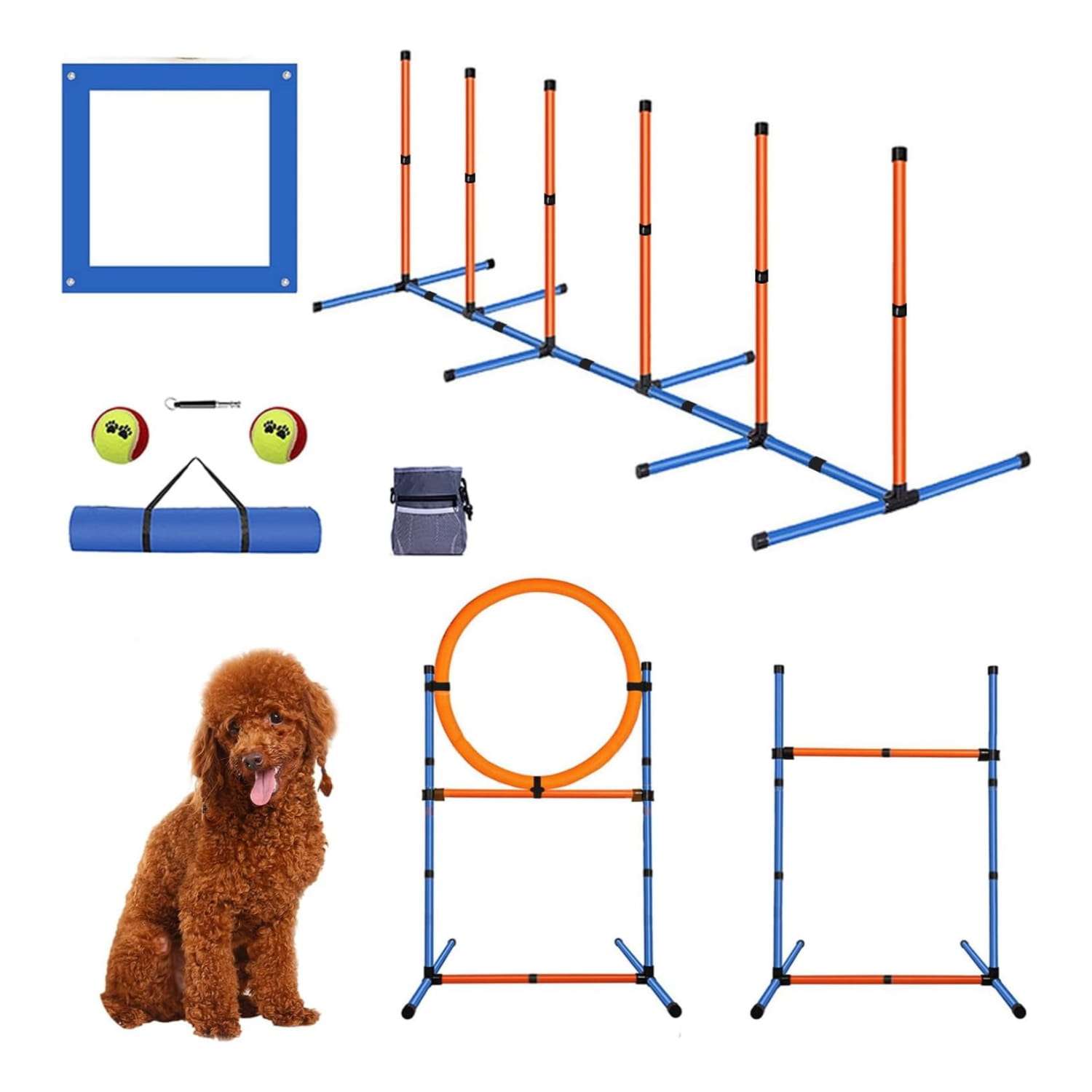Kit de agility para perros con circuito de obstaculos, vallas, slalom y aro. Equipo de adiestramiento portatil.