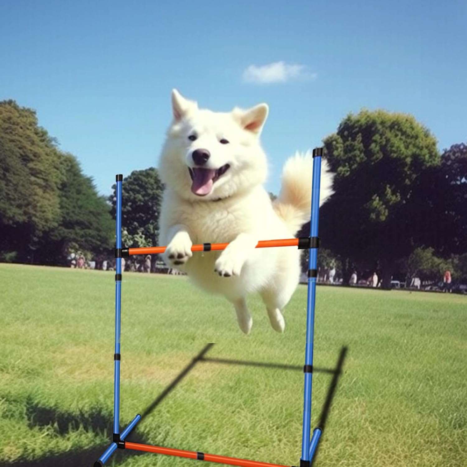 Kit de agility para perros con circuito de obstaculos, vallas, slalom y aro. Equipo de adiestramiento portatil.