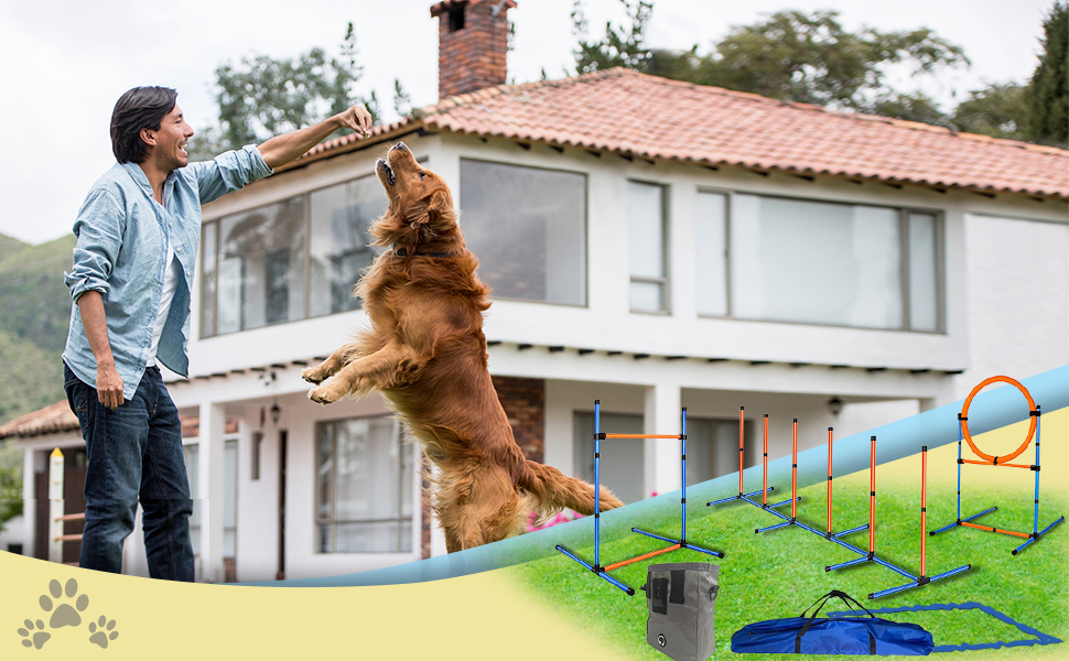 Kit de agility para perros con circuito de obstaculos, vallas, slalom y aro. Equipo de adiestramiento portatil.