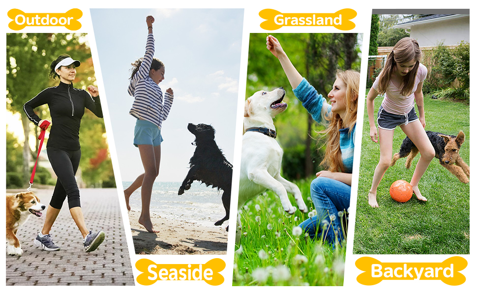 Kit de agility para perros con circuito de obstaculos, vallas, slalom y aro. Equipo de adiestramiento portatil.