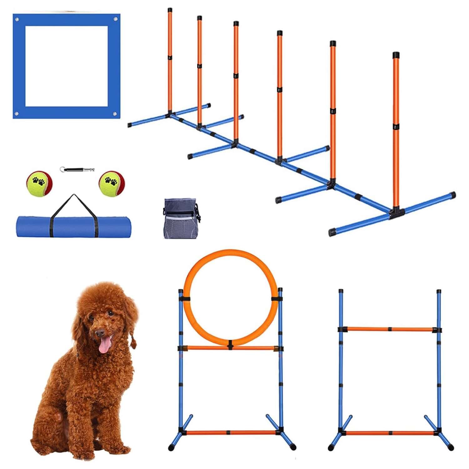 Kit de agility para perros con circuito de obstaculos, vallas, slalom y aro. Equipo de adiestramiento portatil.