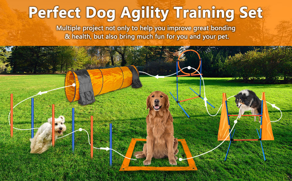 Kit de agility naranja para perros con circuito completo de tunel slalom y vallas. Incluye juguetes y clickers de entrenamiento.