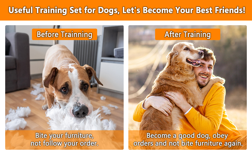 Kit de agility naranja para perros con circuito completo de tunel slalom y vallas. Incluye juguetes y clickers de entrenamiento.