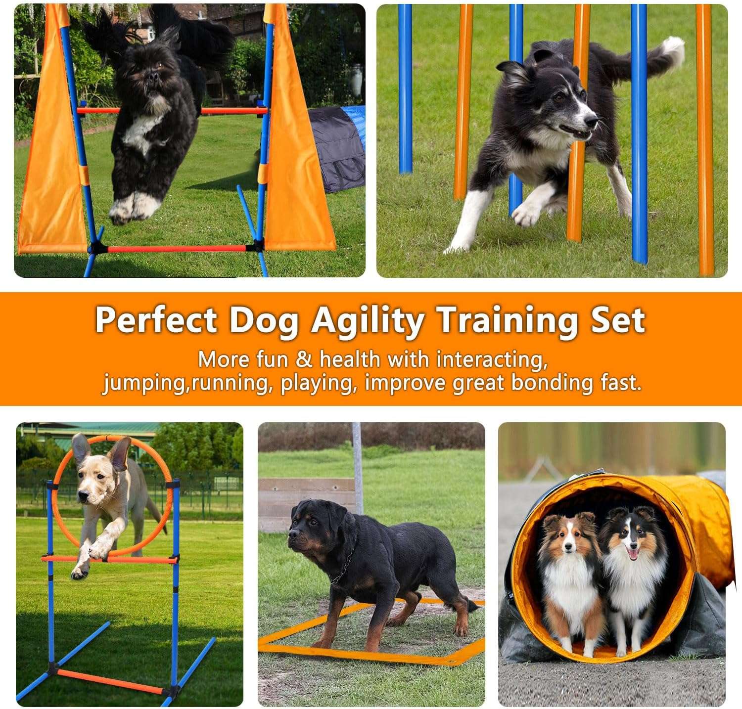 Kit de agility naranja para perros con circuito completo de tunel slalom y vallas. Incluye juguetes y clickers de entrenamiento.