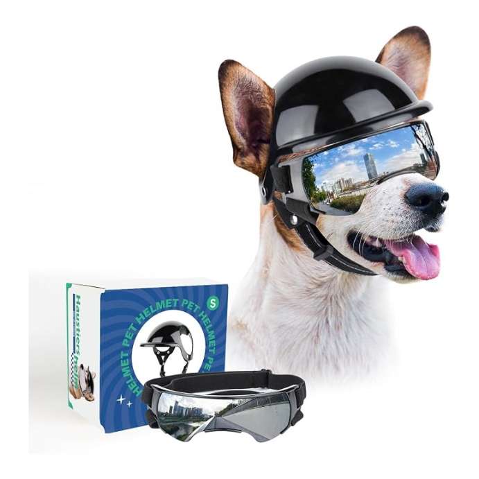 Kit de casco con orificios para orejas y lentes antiparras para perros medianos moto.