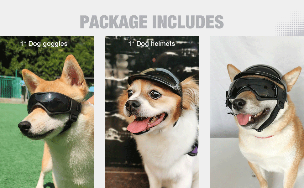 Kit de casco con orificios para orejas y lentes antiparras para perros medianos moto.