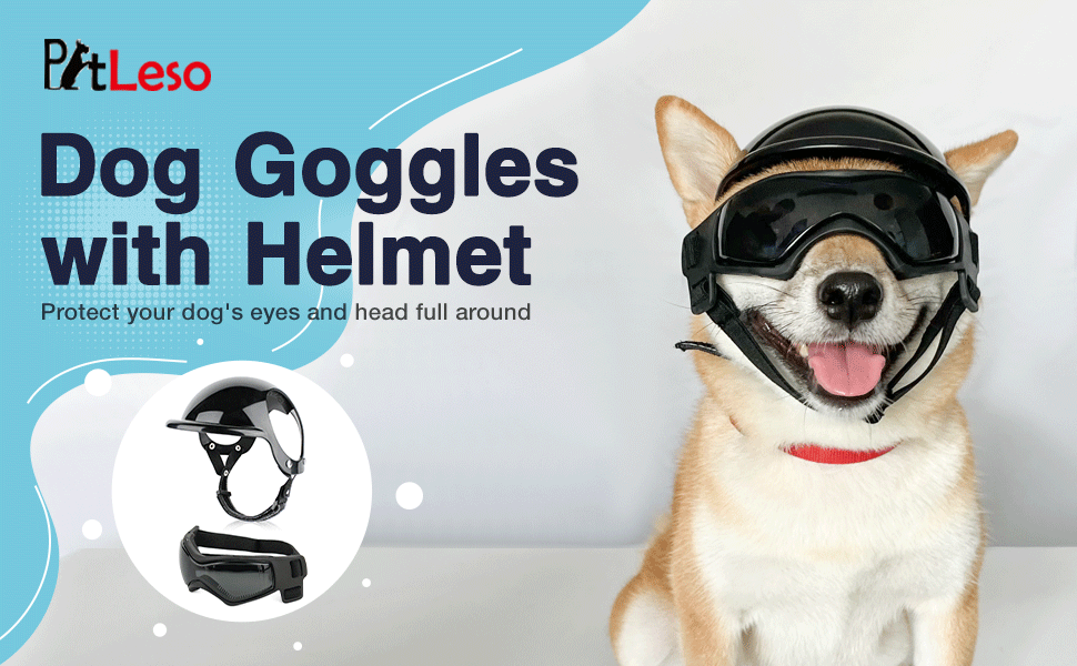 Kit de casco con orificios para orejas y lentes antiparras para perros medianos moto.