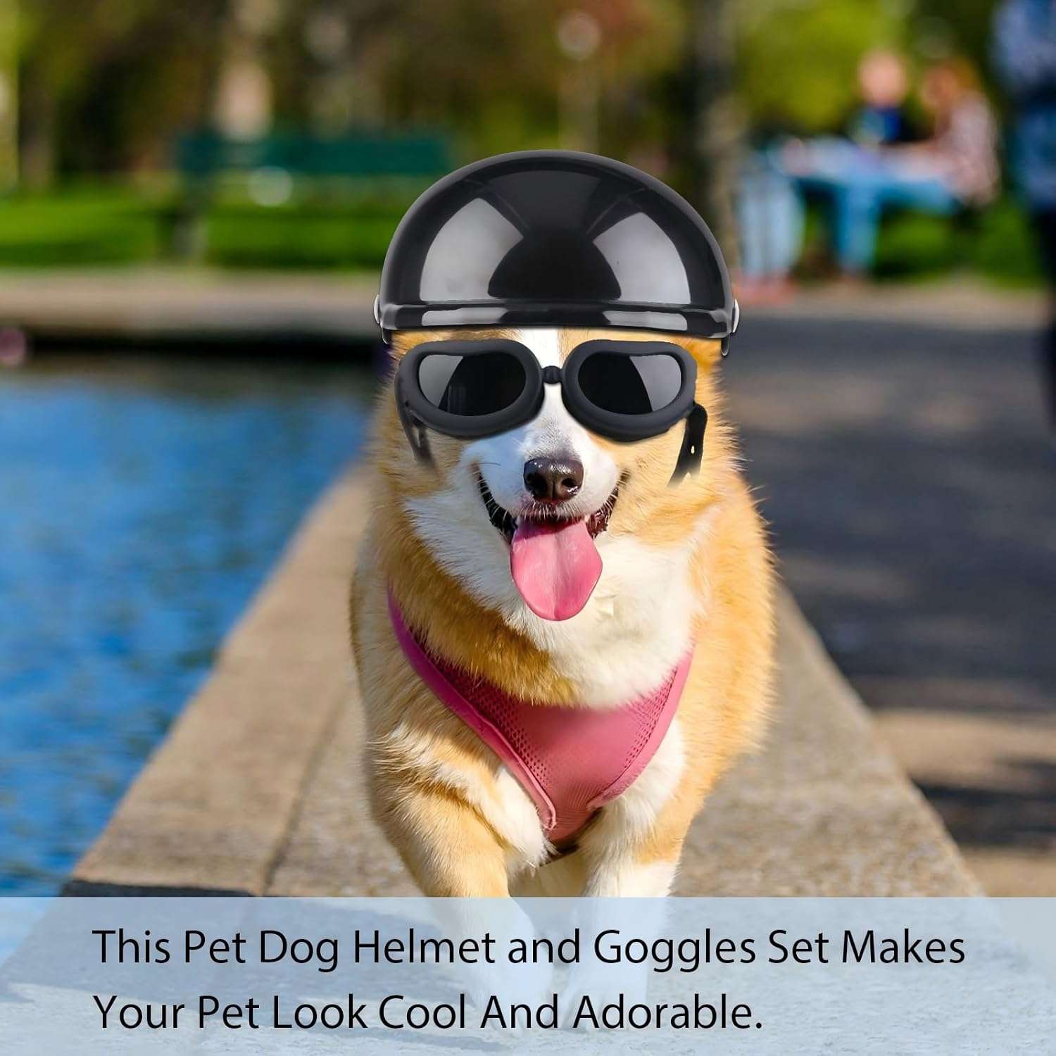 Kit de casco de moto y lentes antiparras para perros ajustable con proteccion UV.
