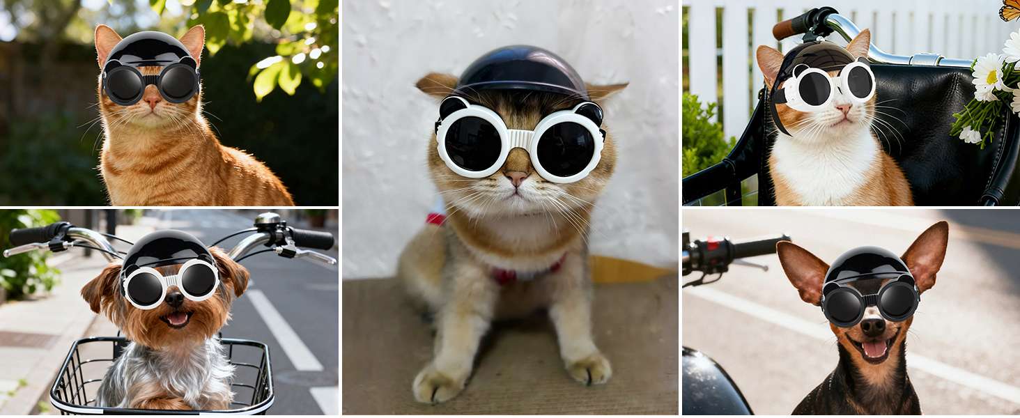 Kit de seguridad para mascotas mini con casco de orejas descubiertas y antiparras UV.