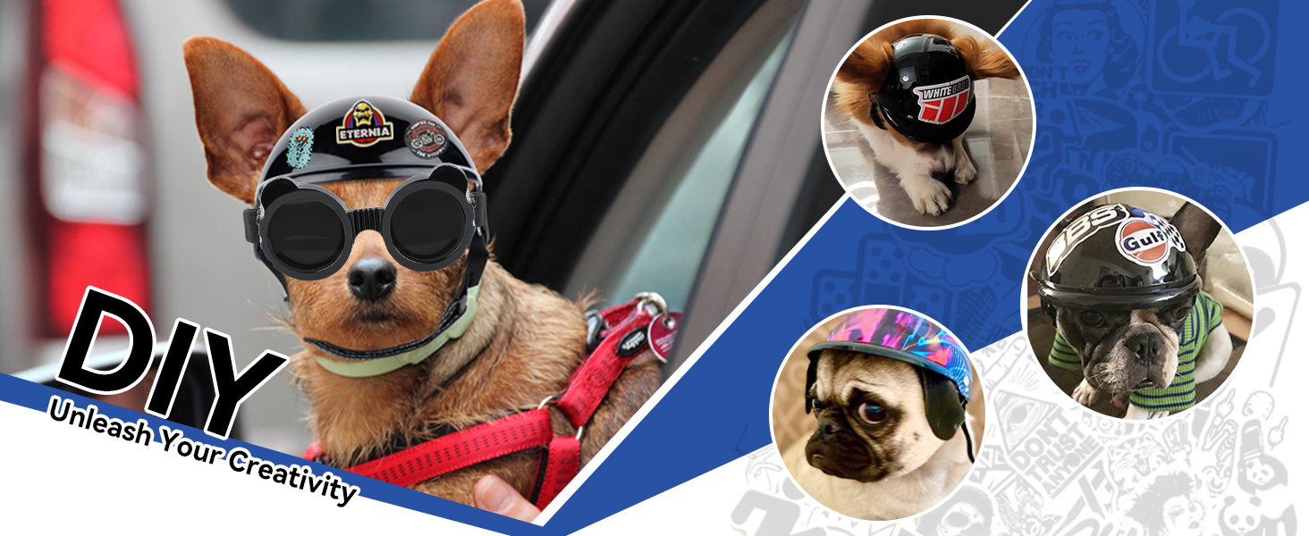 Kit de seguridad para mascotas mini con casco de orejas descubiertas y antiparras UV.
