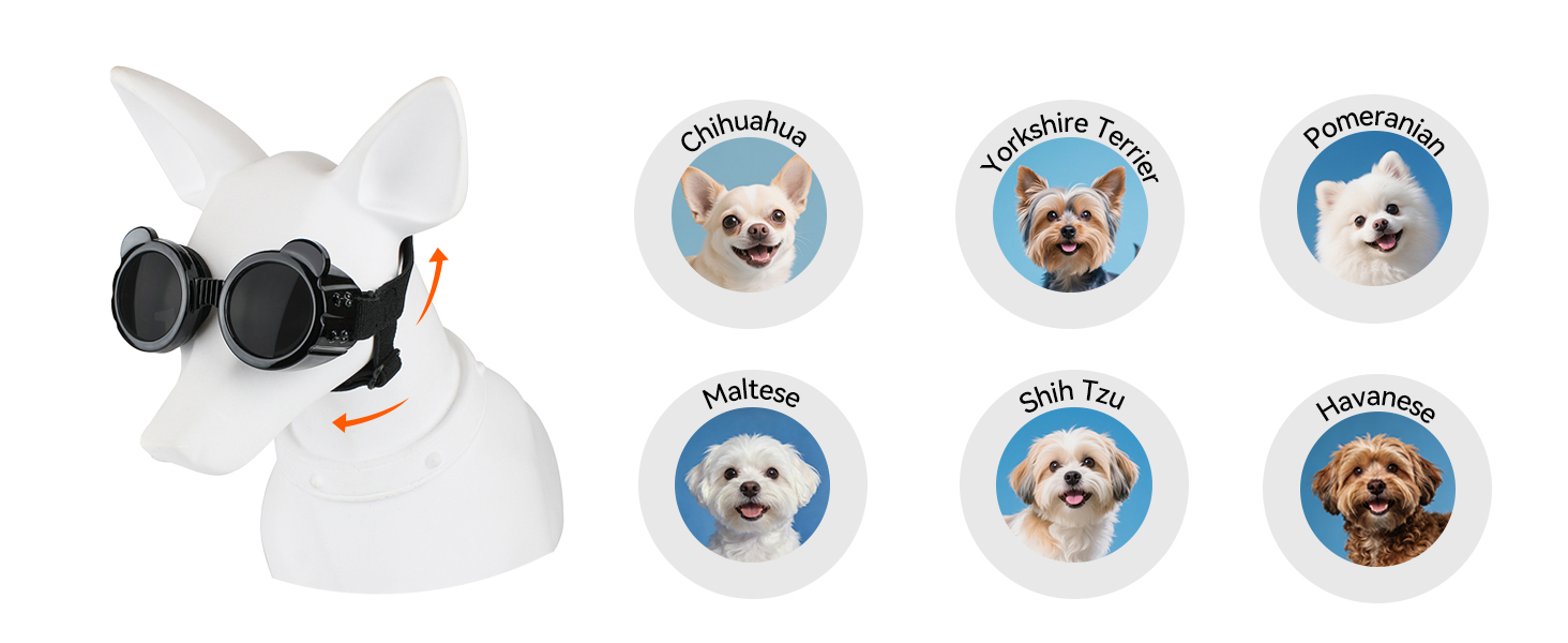 Kit de seguridad para mascotas mini con casco de orejas descubiertas y antiparras UV.