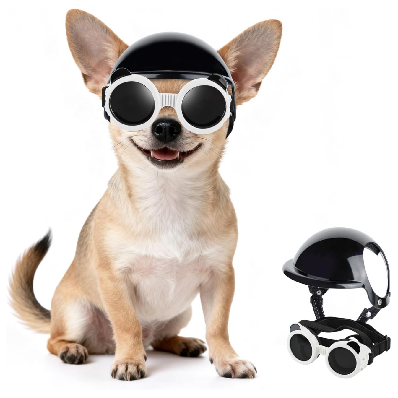 Kit de seguridad para mascotas mini con casco de orejas descubiertas y antiparras UV.