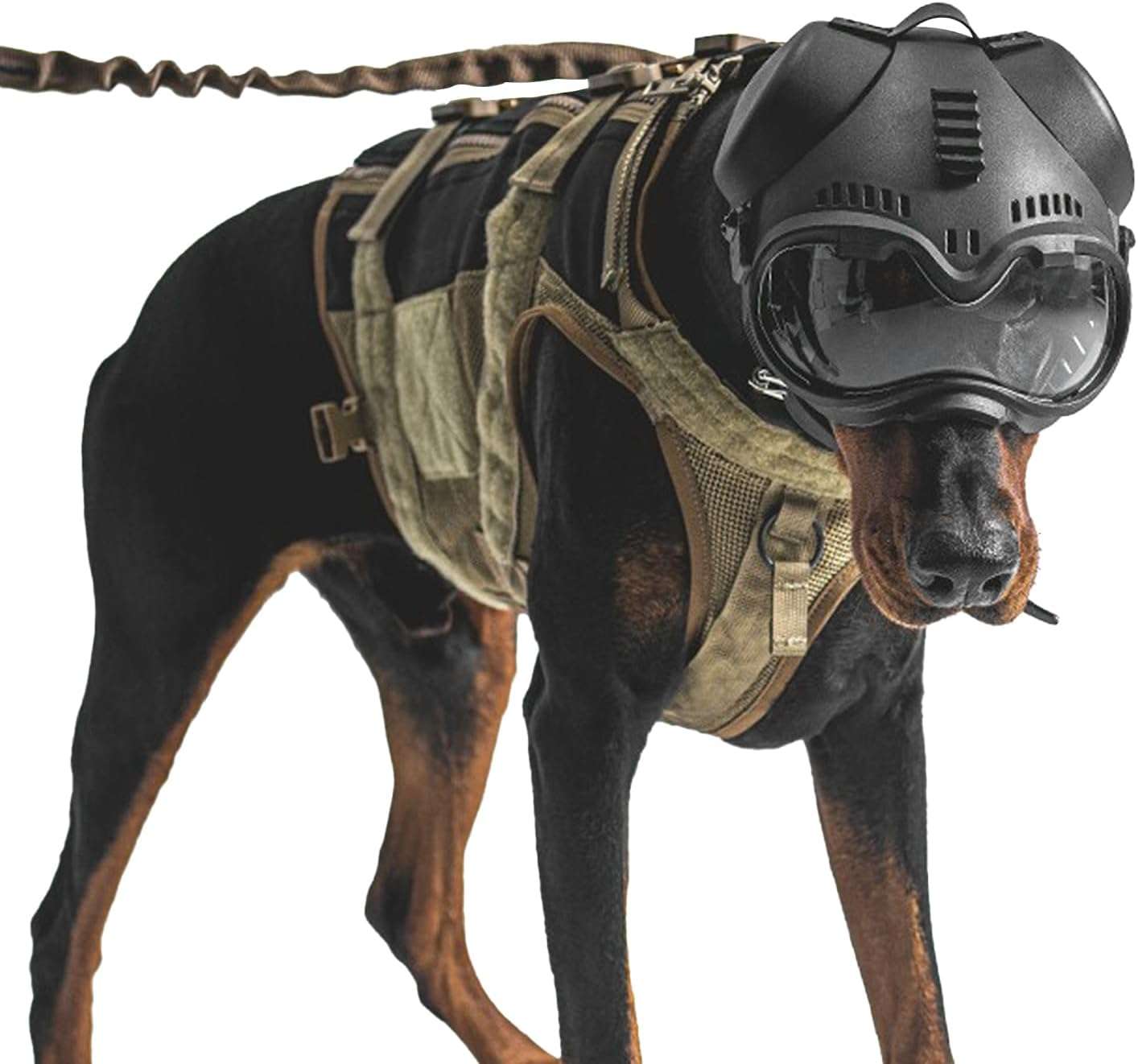 Kit tactico de casco con orificios para orejas y antiparras de proteccion UV para perros medianos.