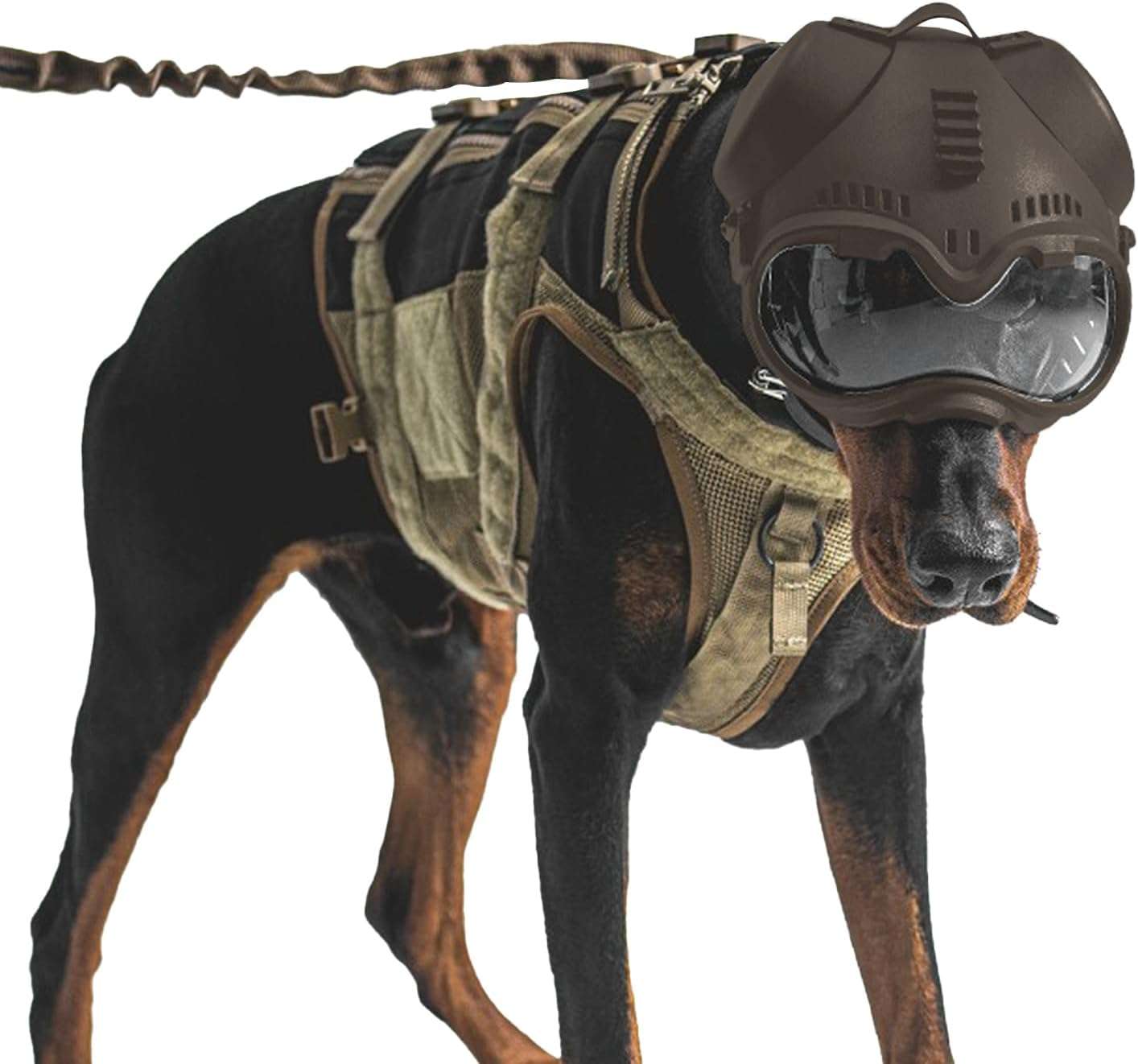 Kit tactico de casco con orificios para orejas y antiparras de proteccion UV para perros medianos.