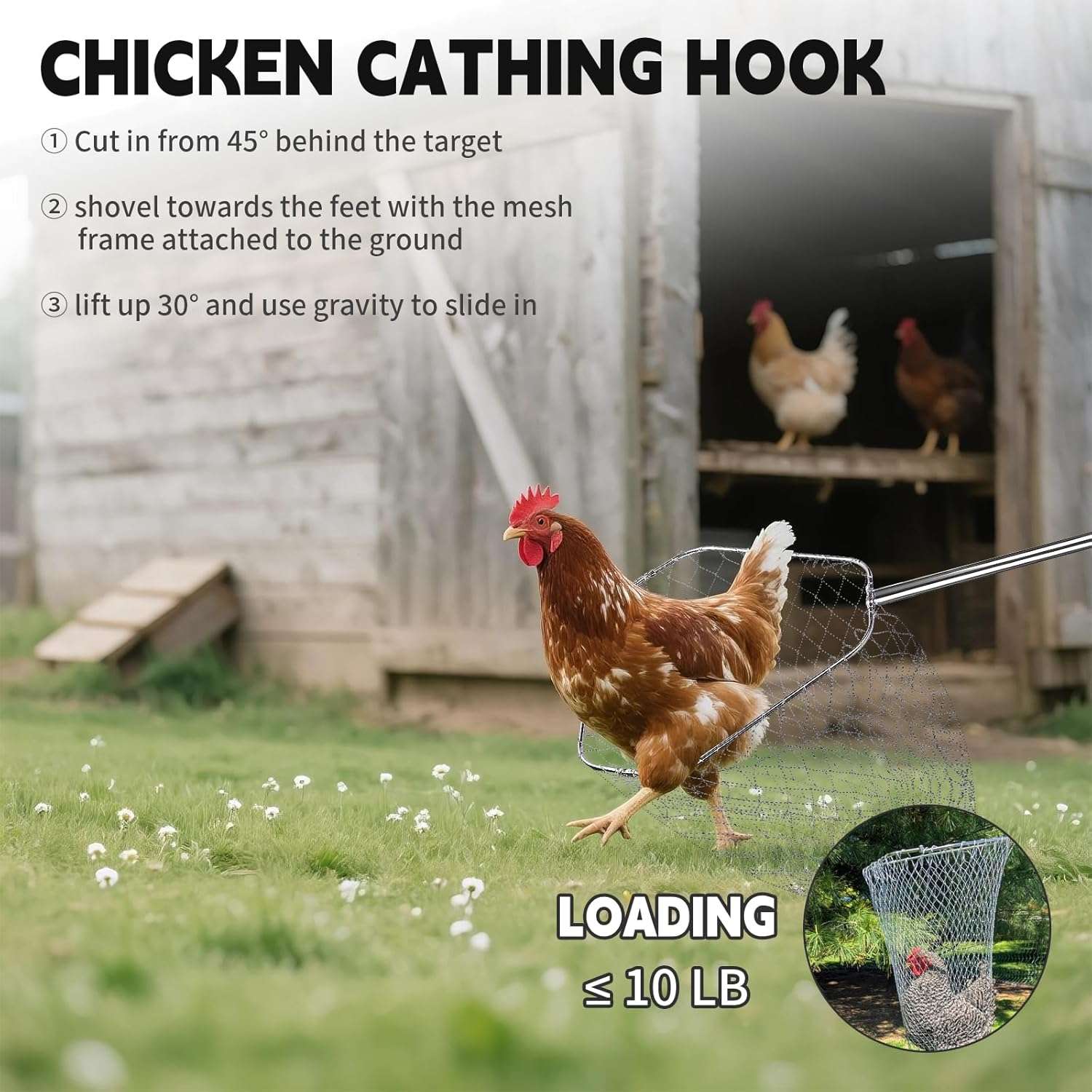 Kit de captura 3 en 1 con dos redes y gancho de metal para aves y animales. Palo extensible de acero inoxidable.