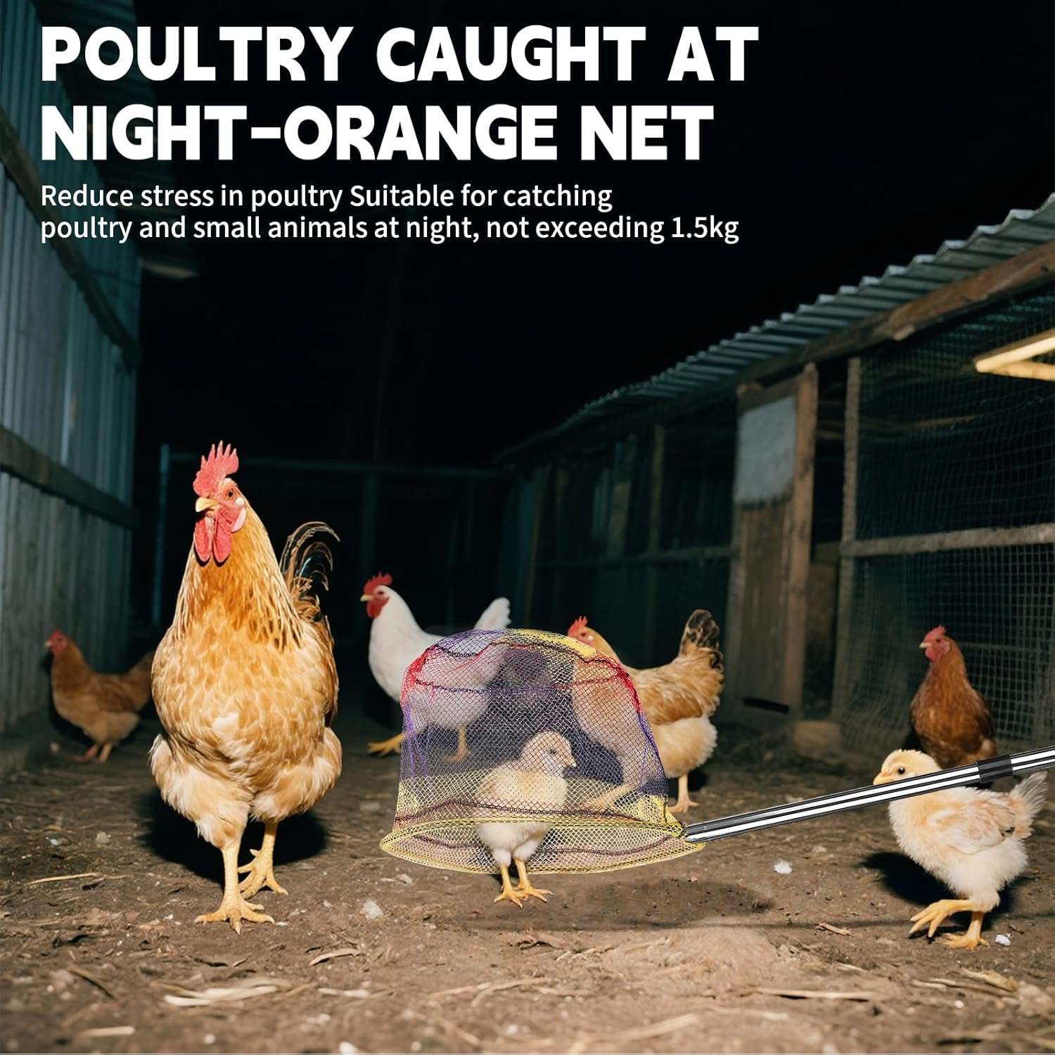Kit de captura 3 en 1 con dos redes y gancho de metal para aves y animales. Palo extensible de acero inoxidable.