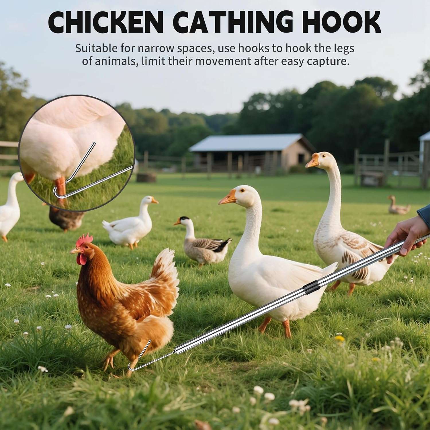 Kit de captura 3 en 1 con dos redes y gancho de metal para aves y animales. Palo extensible de acero inoxidable.