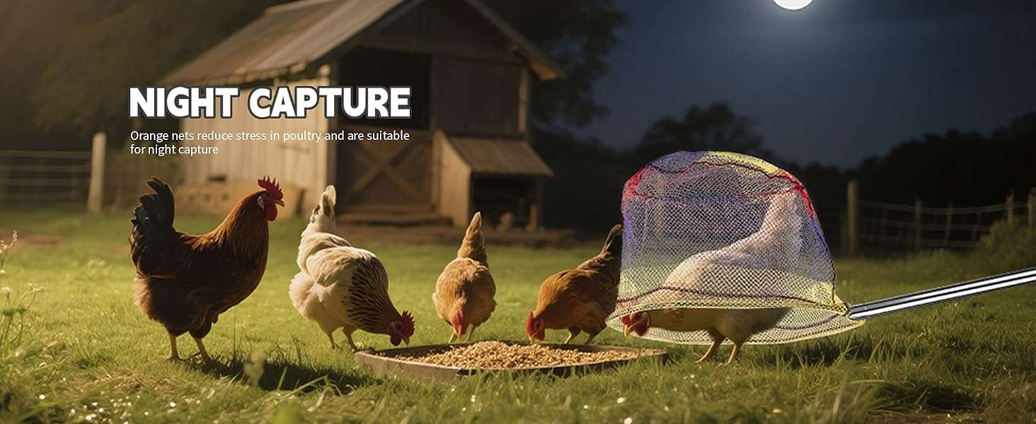 Kit de captura 3 en 1 con dos redes y gancho de metal para aves y animales. Palo extensible de acero inoxidable.