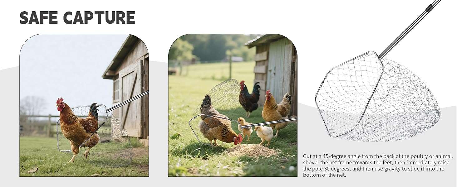 Kit de captura 3 en 1 con dos redes y gancho de metal para aves y animales. Palo extensible de acero inoxidable.