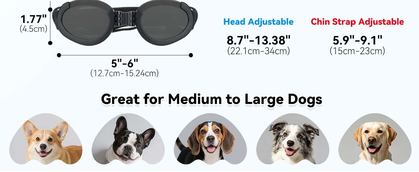 Lentes antiparras para perros con micas intercambiables transparente y oscura proteccion UV.