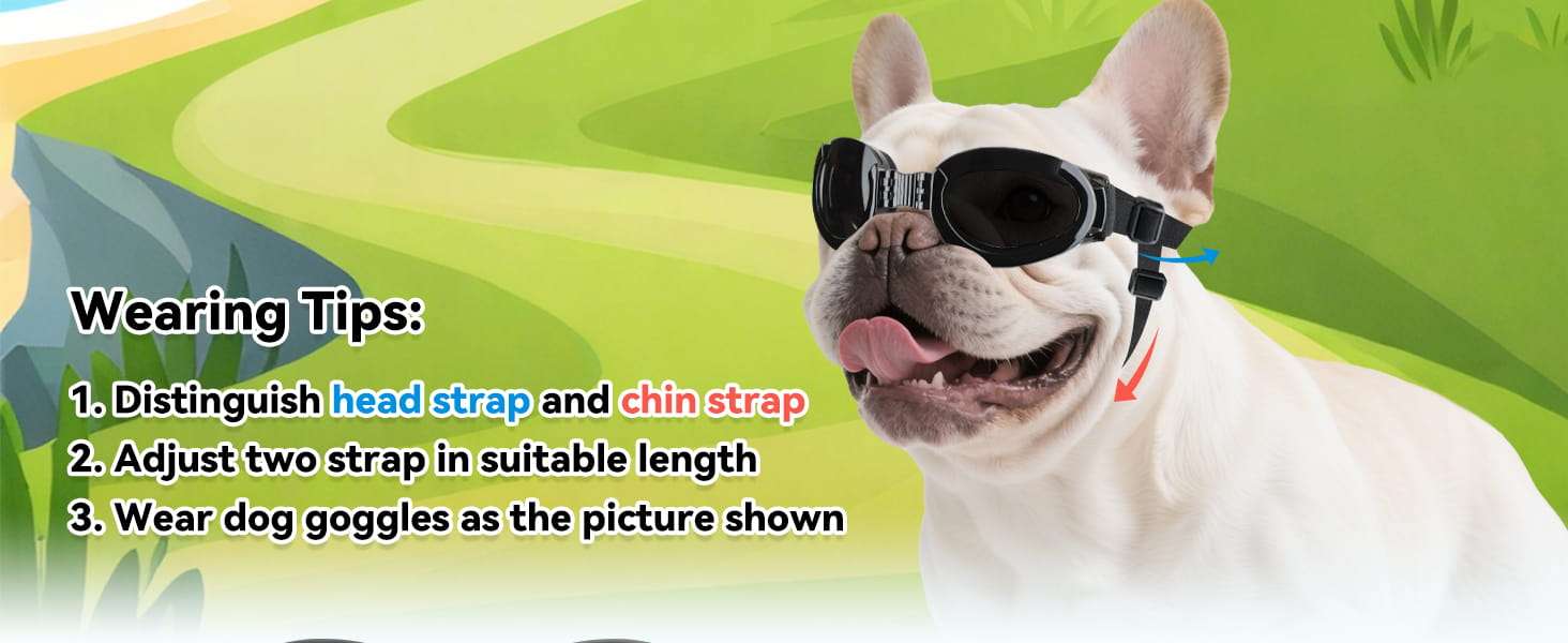 Lentes antiparras para perros con micas intercambiables transparente y oscura proteccion UV.