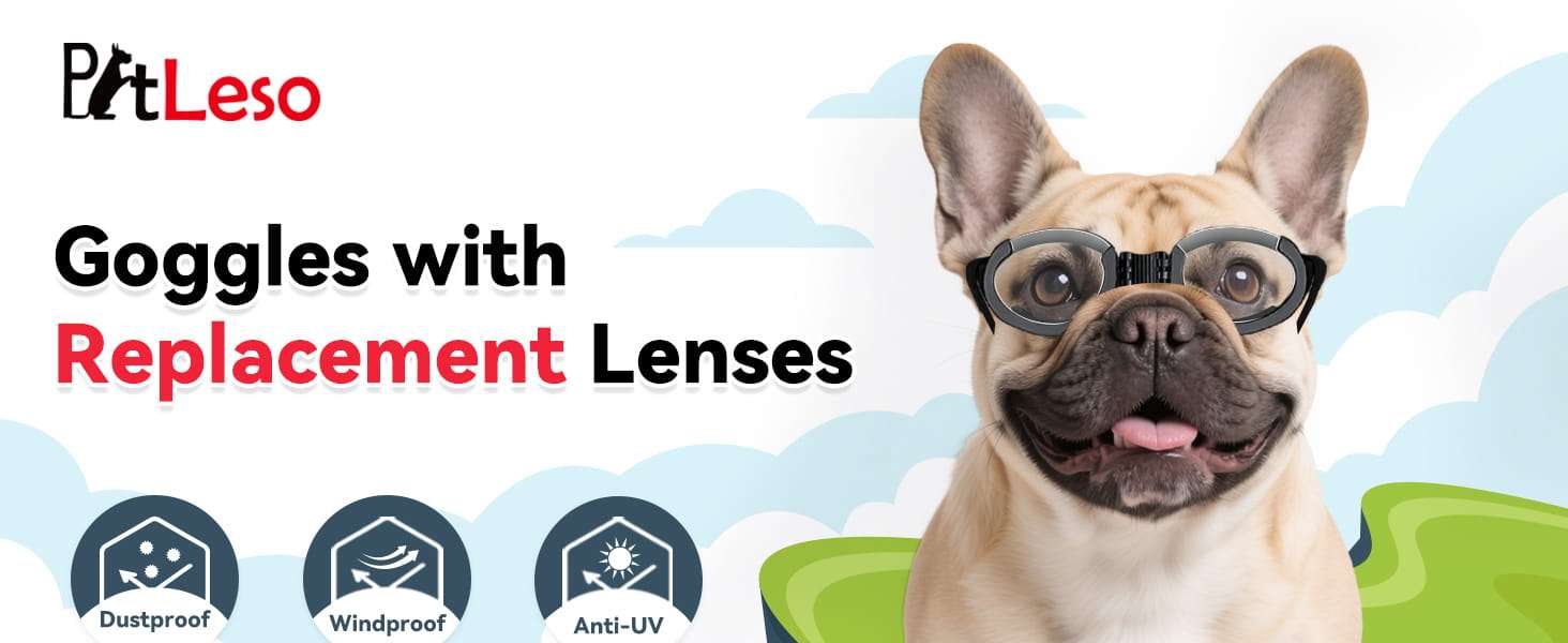 Lentes Antiparras Perros Pequeños Medianos Intercambiables Transparente y Sol - Imagen 10