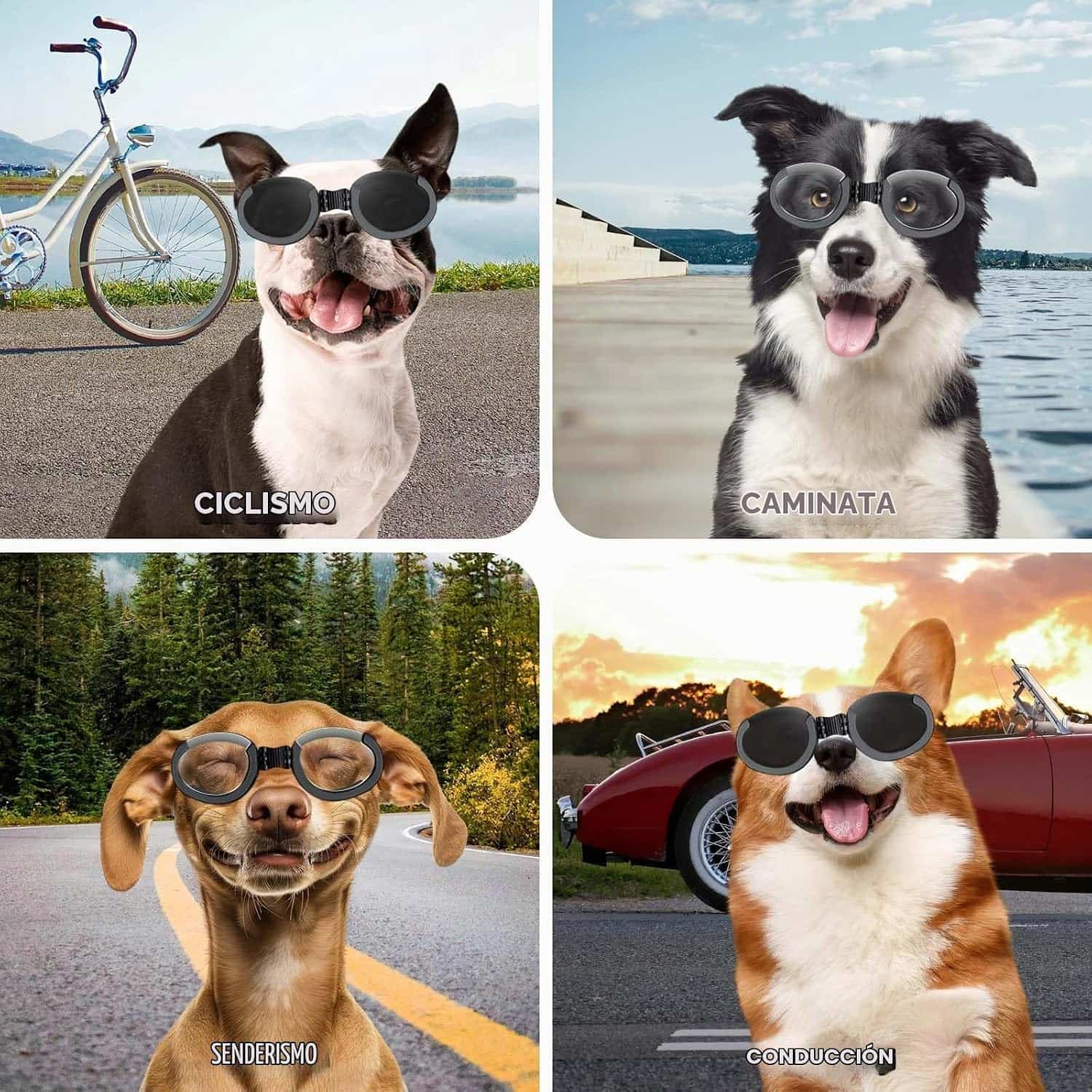 Lentes antiparras para perros con micas intercambiables transparente y oscura proteccion UV.