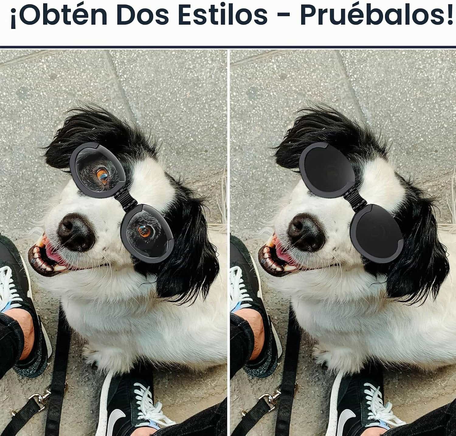 Lentes antiparras para perros con micas intercambiables transparente y oscura proteccion UV.
