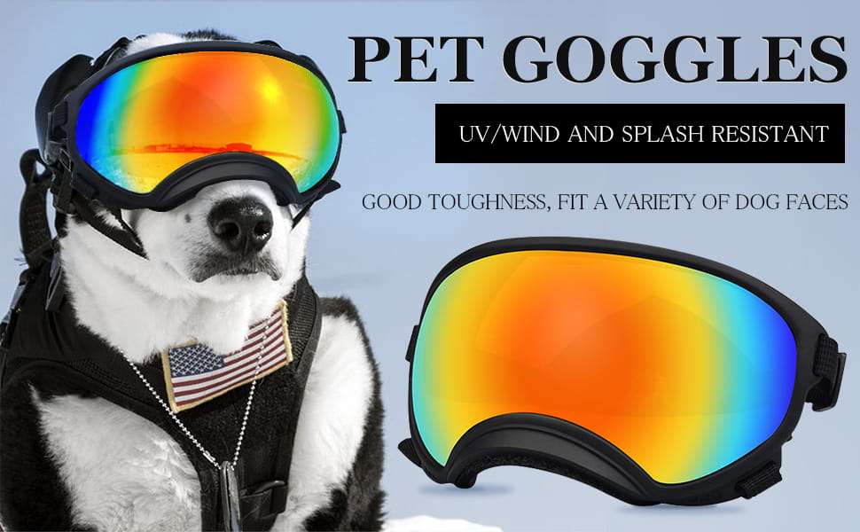 Lentes antiparras transparentes para perros grandes con estuche rigido proteccion UV y viento.