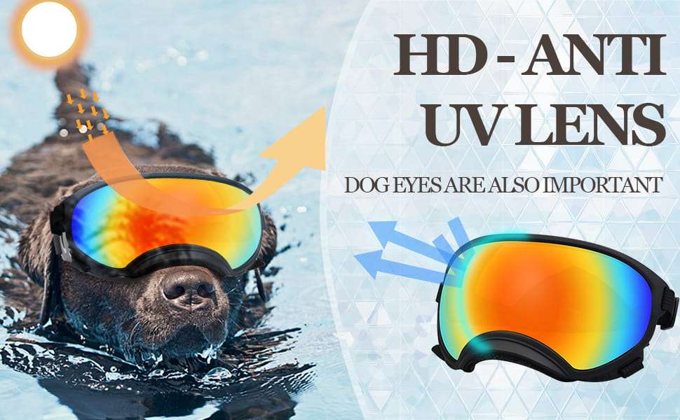 Lentes antiparras transparentes para perros grandes con estuche rigido proteccion UV y viento.