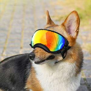 Lentes antiparras transparentes para perros grandes con estuche rigido proteccion UV y viento.